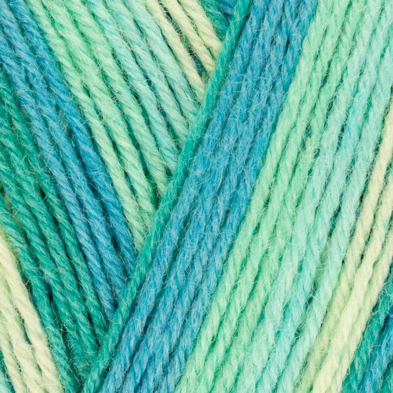 West Yorkshire Spinners Wool Signature 4 Ply WYS Sock Yarn Knitting Crochet 100g - Picture 185 of 254