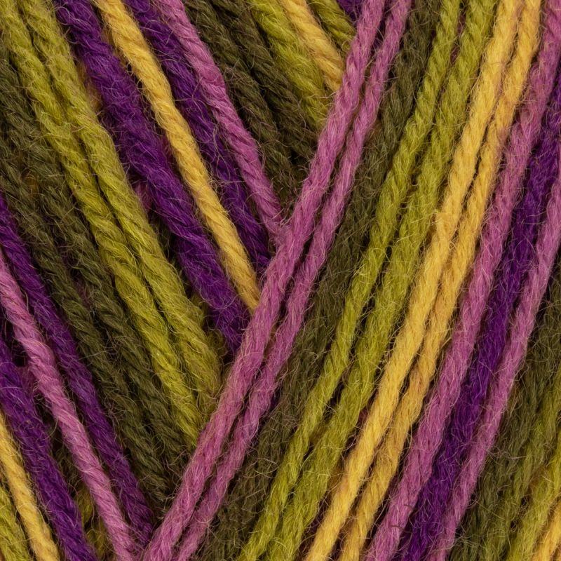 West Yorkshire Spinners Wool Signature 4 Ply WYS Sock Yarn Knitting Crochet 100g - Picture 130 of 254