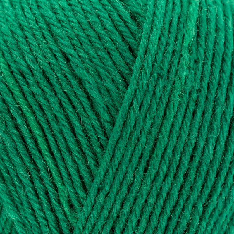 West Yorkshire Spinners Wool Signature 4 Ply WYS Sock Yarn Knitting Crochet 100g - Picture 24 of 254
