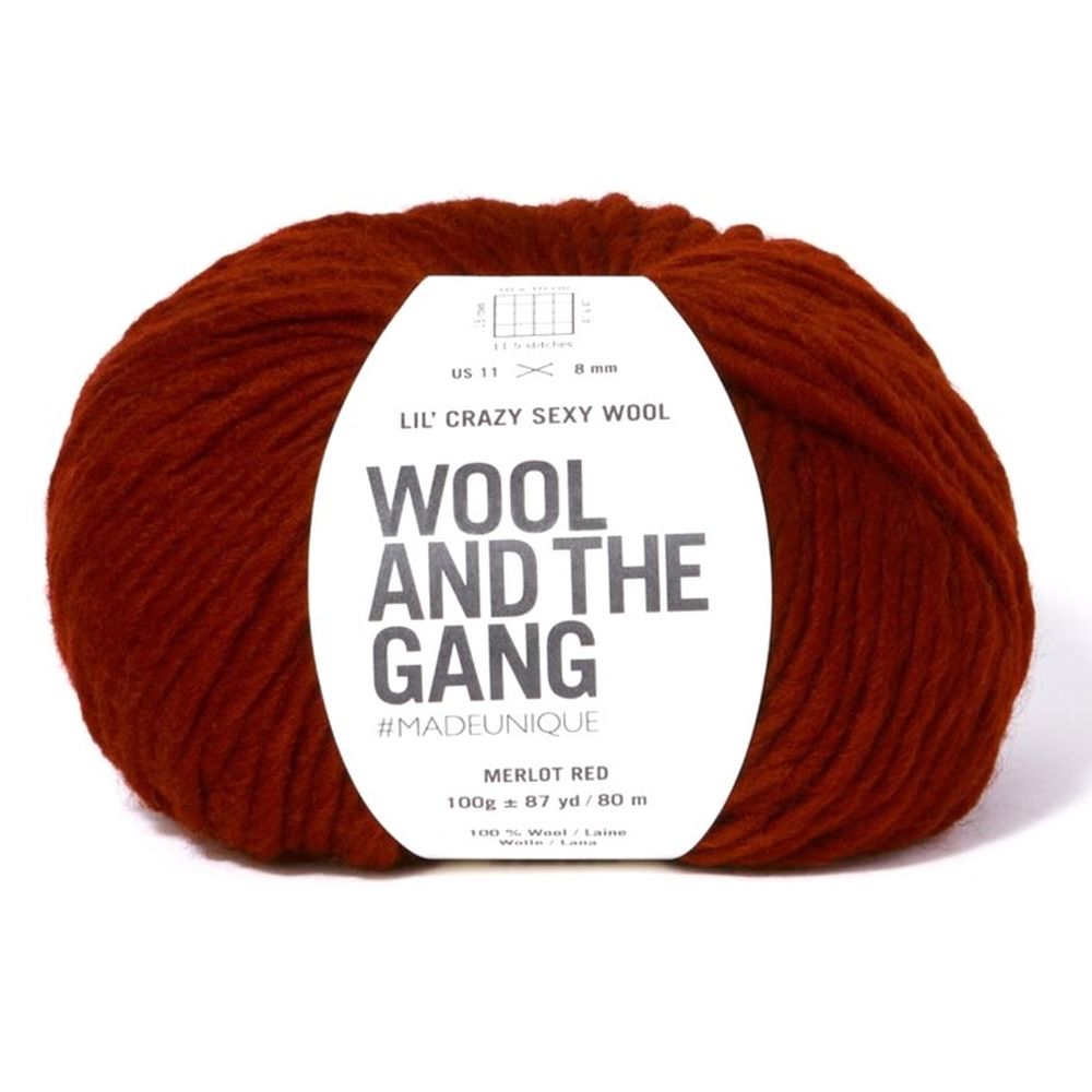 Wool and the Gang Lil Crazy Sexy Wool Knitting and Crochet Yarn - Picture 19 of 23