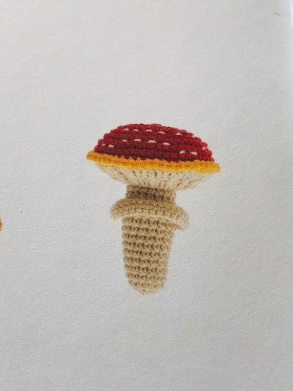 Rico Ricorumi Crochet Amigurumi Juguete Tejer Patrones Libros DK Lana Hilo Diseños - Imagen 129 de 256