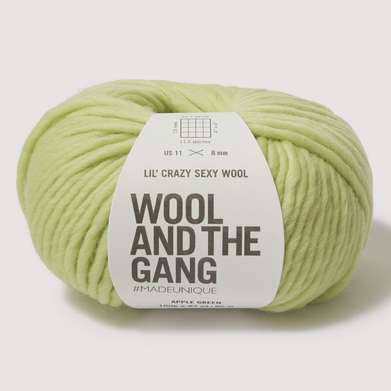 Wool and the Gang Lil Crazy Sexy Wool Knitting and Crochet Yarn Chunky 12 Ply