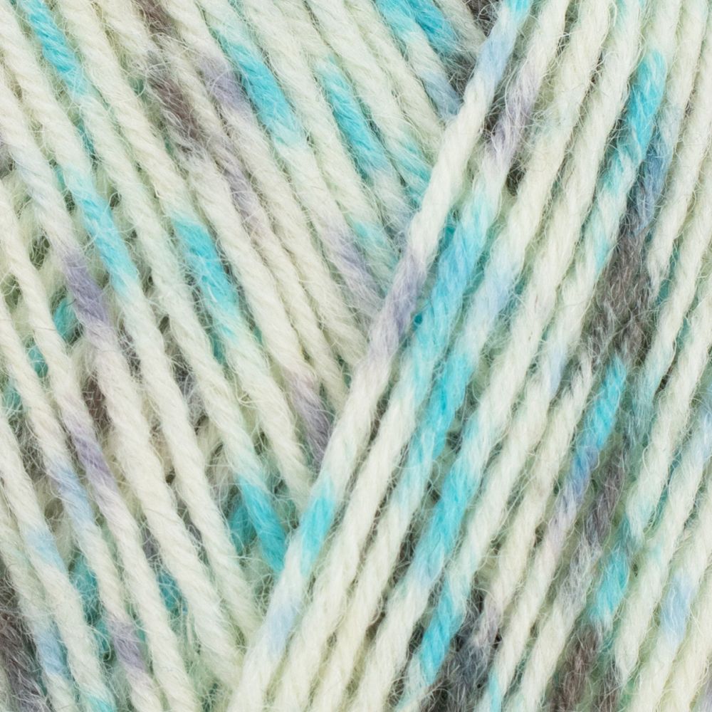 West Yorkshire Spinners Wool Signature 4 Ply WYS Sock Yarn Knitting Crochet 100g - Picture 229 of 254