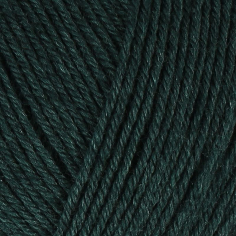 Regia Wool Knitting Premium Silk 4 Ply Fingering Sock Merino Crochet Yarn 100gm - Picture 29 of 35