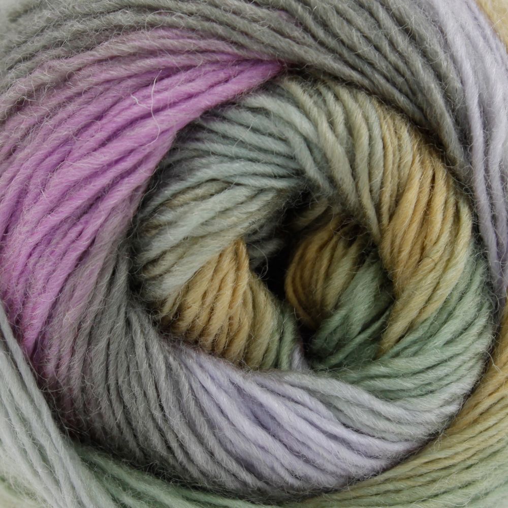 King Cole Riot DK 100g Acrylic Wool Blend Multi Colour Knitting Double Knit Yarn - Picture 22 of 36