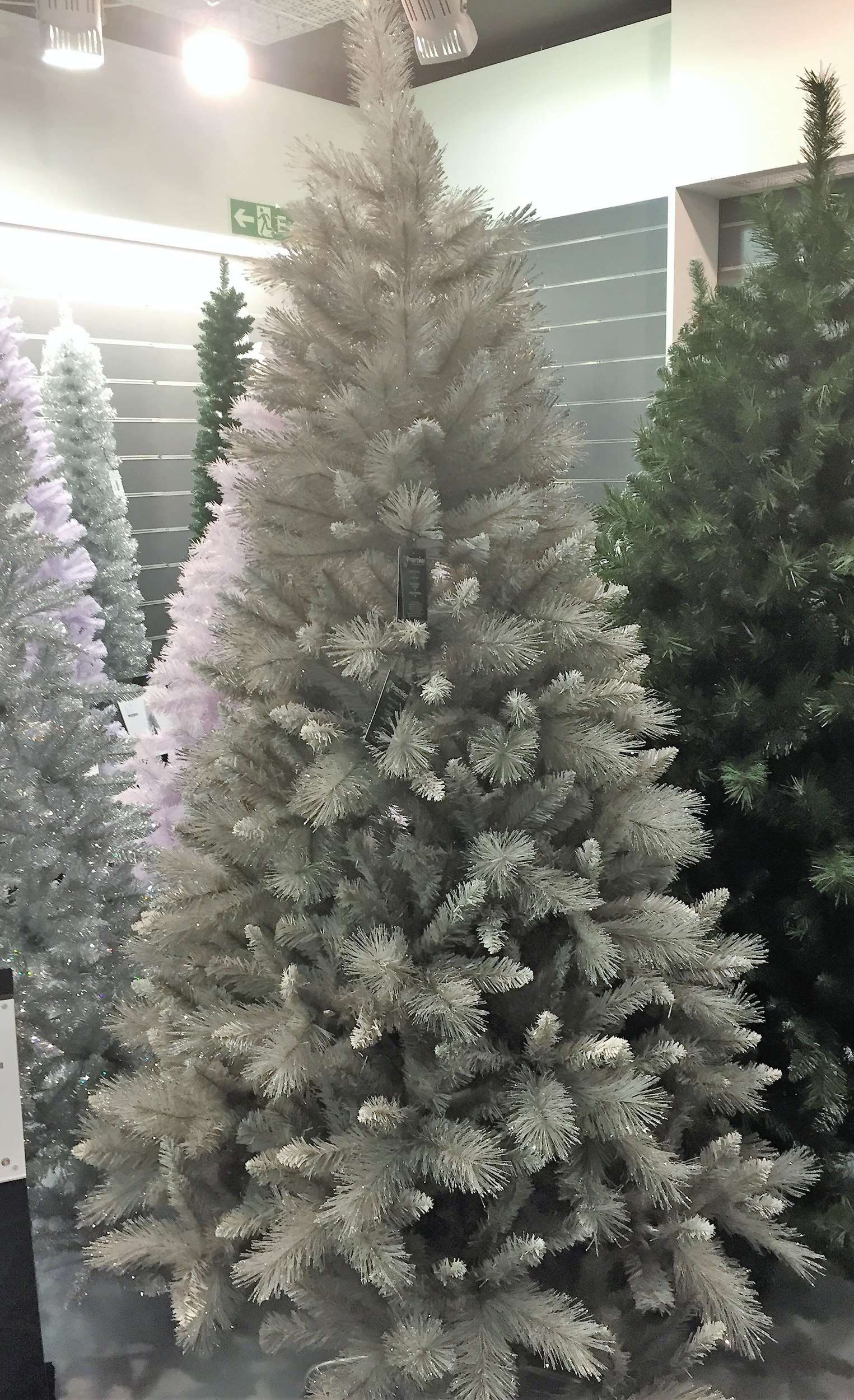 Luxury Fir Christmas Tree Large Snow Dusted Christmas Tree 2.1 Metre