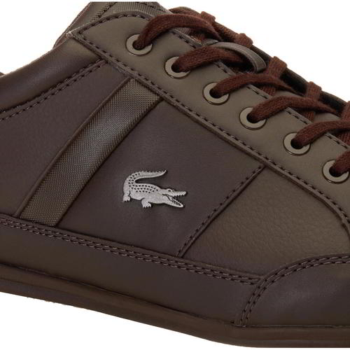 lacoste chaymon brown
