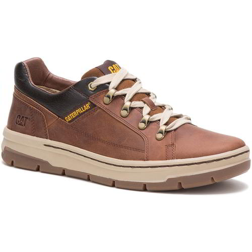 cat trainers uk
