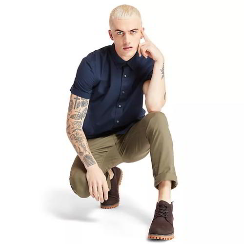 jackson timberland