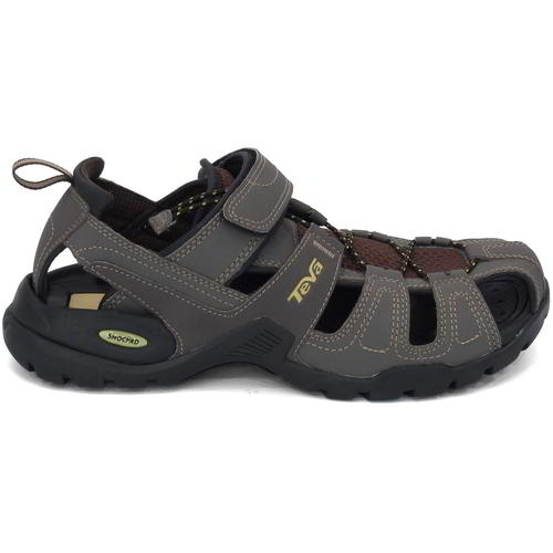 teva m forebay