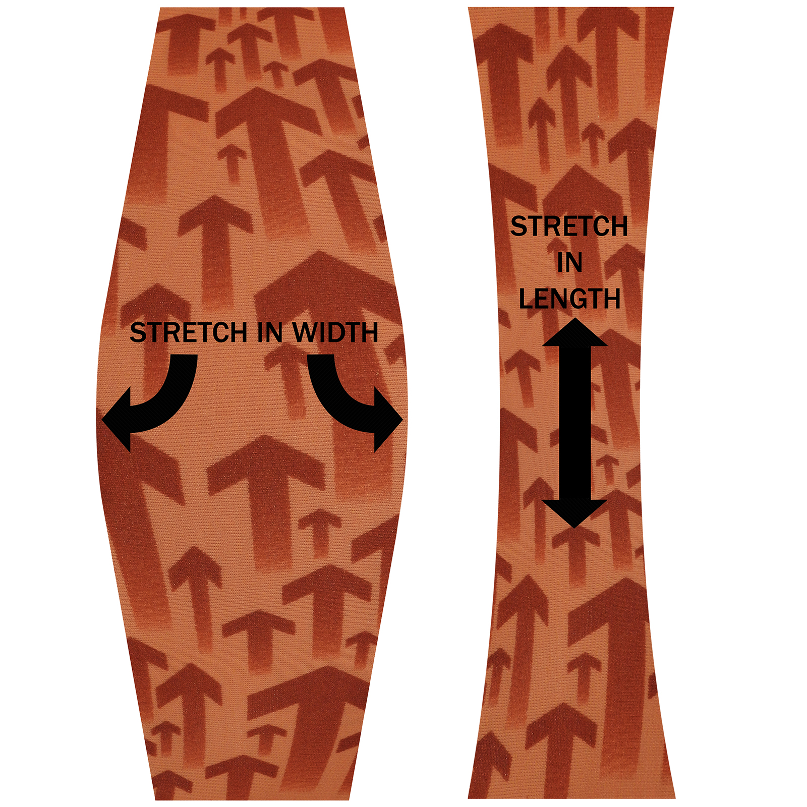 BST Prime Boxing MMA Martials Arts Kinesiology Body Finger Hand Wrist